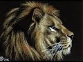 Here's a sample of my wildlife...