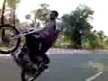 Heera's Long & Amazing wheelie okara pakistan