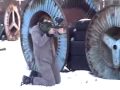 Winter Paintball in Budapest gallery first image