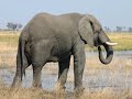 Africa rough 2 Africa rough 2