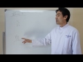 東洋医学の「証」 part1 東洋医学
