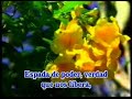 Unidos por su palabra