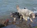 A windy day - part 2