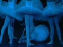 swan lake 22 (seconde act)