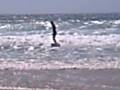 videos de Surfen in Portugal.wmv