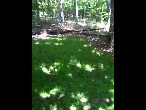 how to plant throw n grow