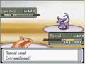 he whooped me later though. ... pokemon colonelben007 cgi09 nintendo ubers uu ou nu match fight win lose draw cats platinum wifi battle bl uber diyon anime spoliers heart gold soul silver fun win lose draw rematch fail epic ash dawn brock misty fight lol 