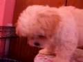 Mia On a spinny chair