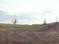 fort macleod drop 2