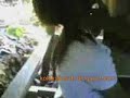 Click here to watch this video anak sma gede laku mesum