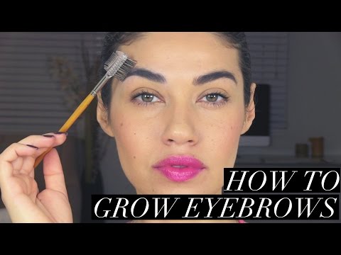 how to grow eyebrows out