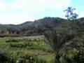 Madagascar - De Fianarantsoa à Manakara
