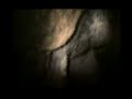Philippine Fruit Bats