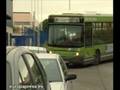Fallece conductor autobús por atropello