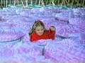 ORMO WOOL WORLD ORMO WOOL WORLD