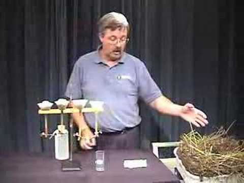 how to isolate nematodes from soil