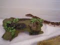 ****Update**** Also, how to tame a snake, video request.