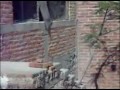 asañas del tanque cañon