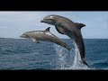c)video by gewajega@yahoo.com
music: walela (rita coolidge, priscilla coolidge, laura satterfield)
album 
