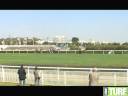 bigpaul_littleguy.wmv bigpaul_littleguy.wmv