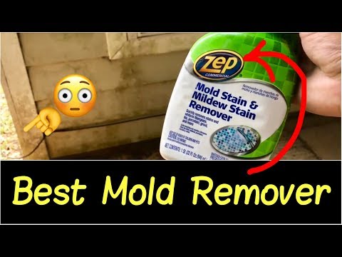 video-linktoworks-✅Best Mold Remover👊 | How to Get Rid of Mold, Mildew,...