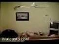 videos de Gato volador