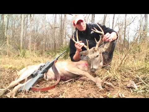 THE BUCK STOPS HERE