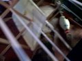 Awesome Australian Terrier does Dog Trick Maze