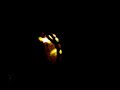 candela de la pe�a el manteka