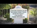 Anuncios De Iglesias (Edgar Lira)