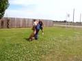 Pastor Belga Malinois video