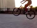 bricarde