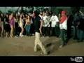 David Banner - Get Like Me