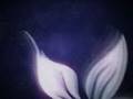 ahmadaljilani shadatv  احمد الجيلاني قناة شدا الفضائية
