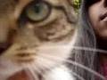 Meowing Cat