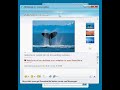 Video Live Messenger 9 beta