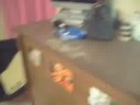 The Epic Dorm Room Tour