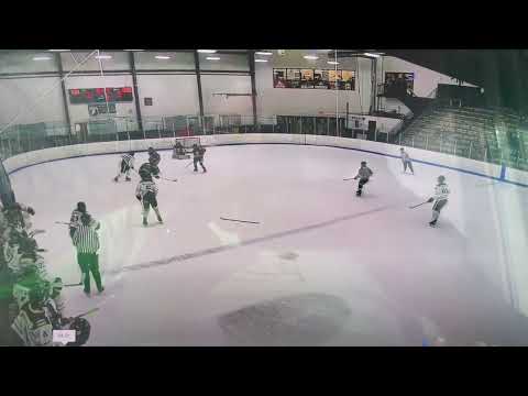 2-15-23 #19 Grady Deering goal #2 GWG vs Team Illinois