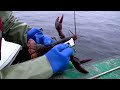 Lobster Fishing St Lawrence Newfoundland