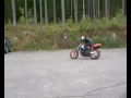 Salostunt kooste