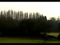 ladyh-cantering-1.html