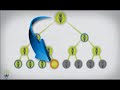 Click here to watch this video ROI Unlimited Compensation Plan