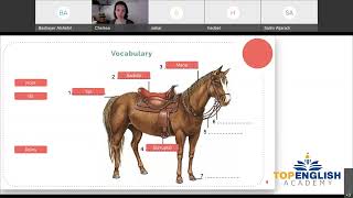 Horse Vocabulary مفردات متعلقة بالحصان - TOP ENGLISH ACADEMY