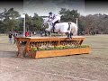cross fontainebleau cci*** 2008