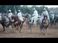 fantasia traditionel festival de taourirt maroc