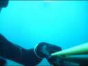 Spearfishing & Freediving Lanzarote - Pesca Submarina Spearfishing & Freediving Lanzarote - Pesca Submarina