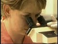 CANINE INFLUENZA - Dog Flu Spreads Rapidly