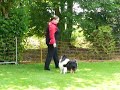 Dogdance met Jamie, Carmen routine (better version) Dogdance met Jamie, Carmen routine (better version)