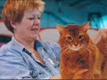 PORTSOMALI cat 