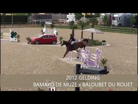 GRAIN D'OR GP YH6 CSI OPGLABBEEK JUNE 2018